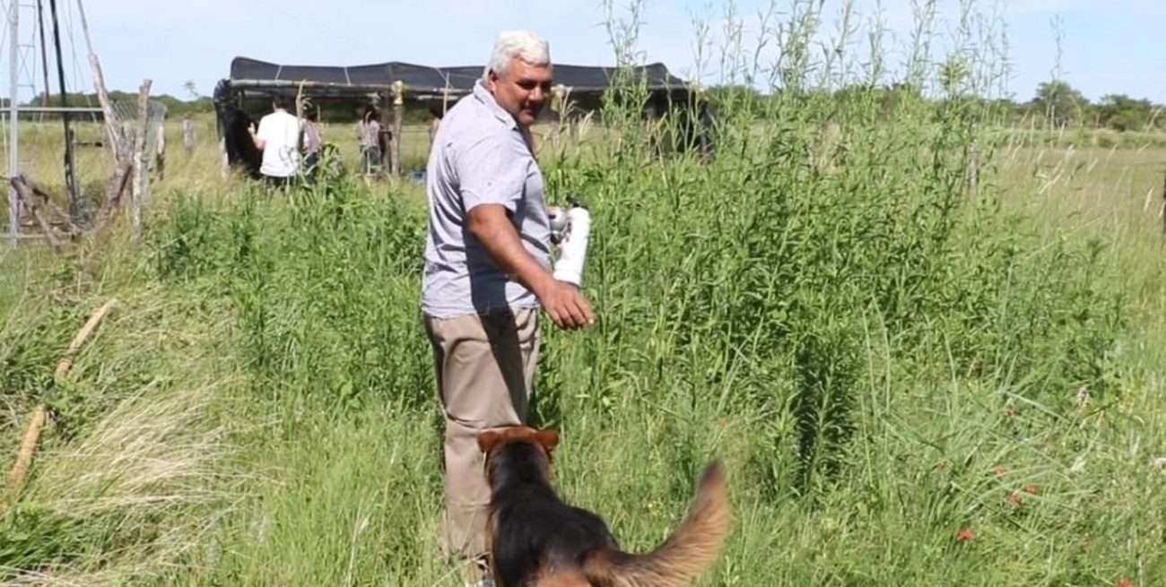 Crean un vivero de árboles nativos  