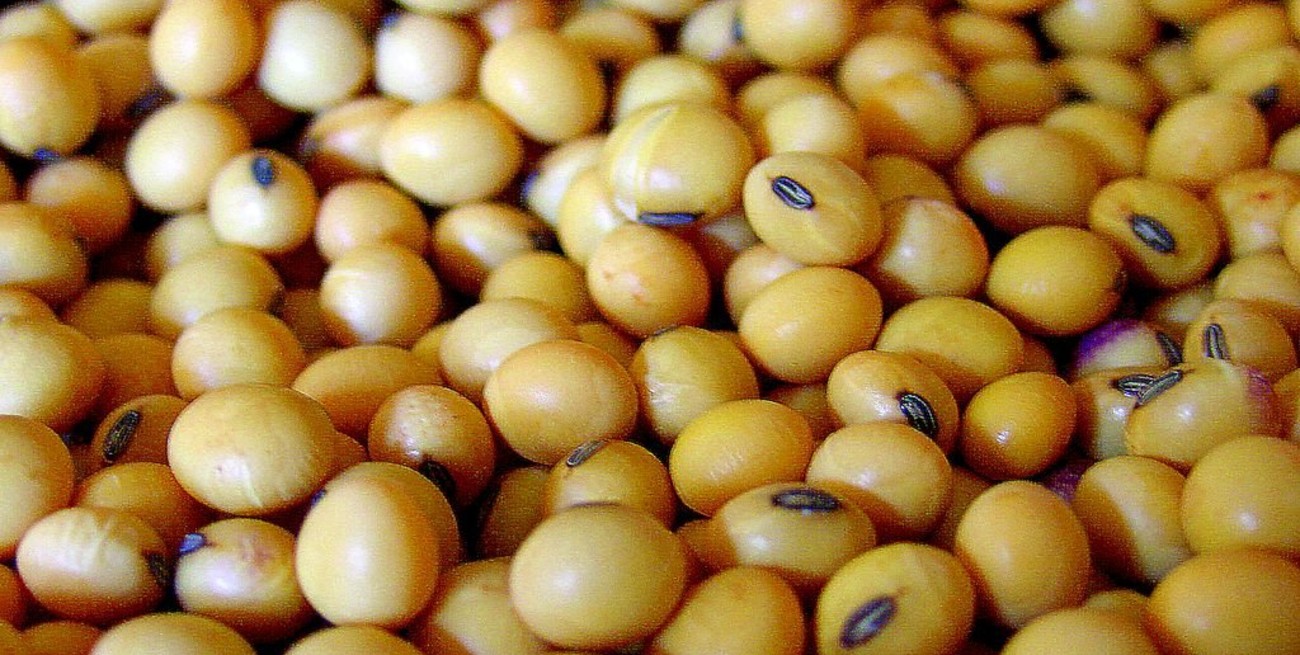 Misiones: ocho detenidos en una megacausa por contrabando de soja