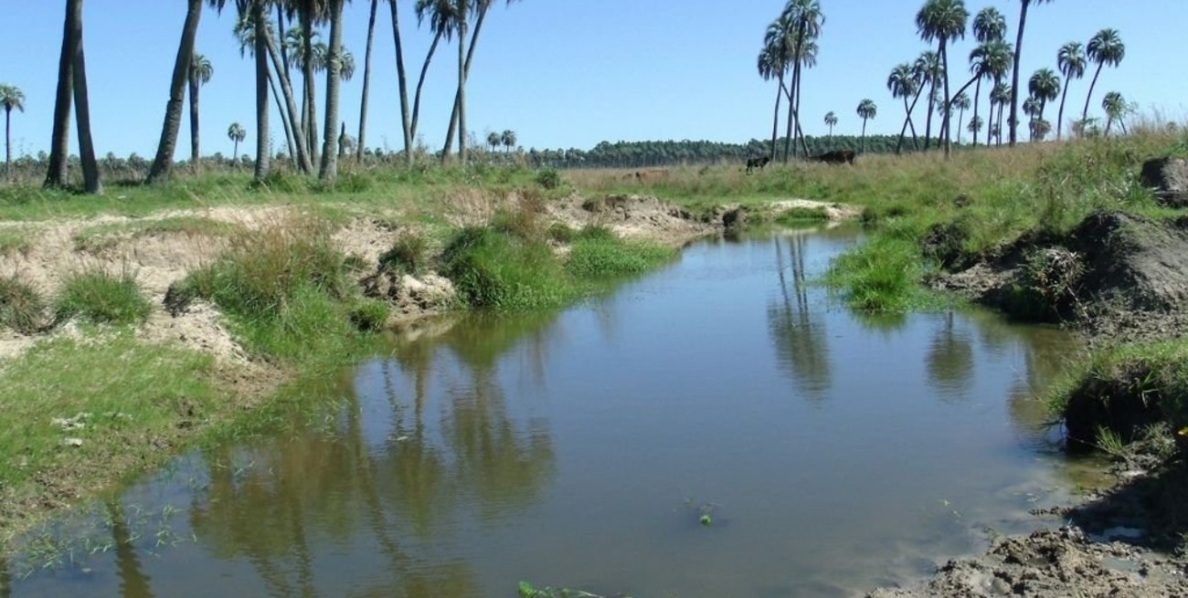 Financiarán proyectos que beneficien el ambiente y comunidades locales de Entre Ríos