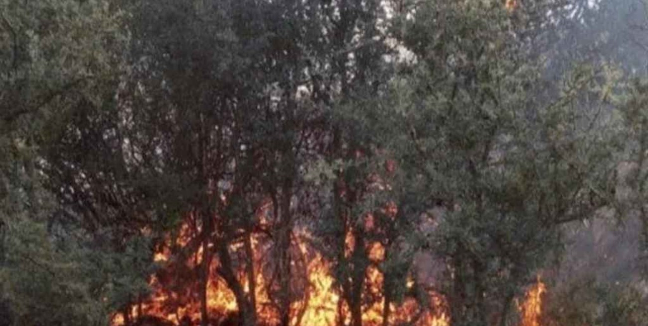 Detuvieron a un hombre tras comenzar un incendio y discutir con la policía en Entre Ríos