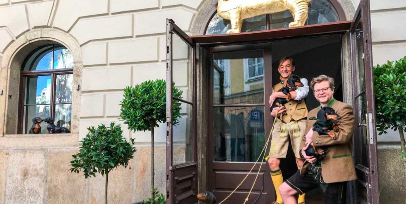 Locura en Alemania por apertura del primer museo de perros salchicha 