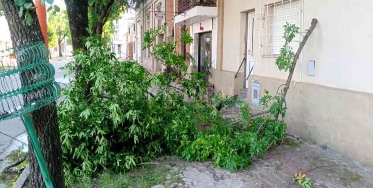 Esperanza: el municipio normaliza los sectores afectados por la tormenta