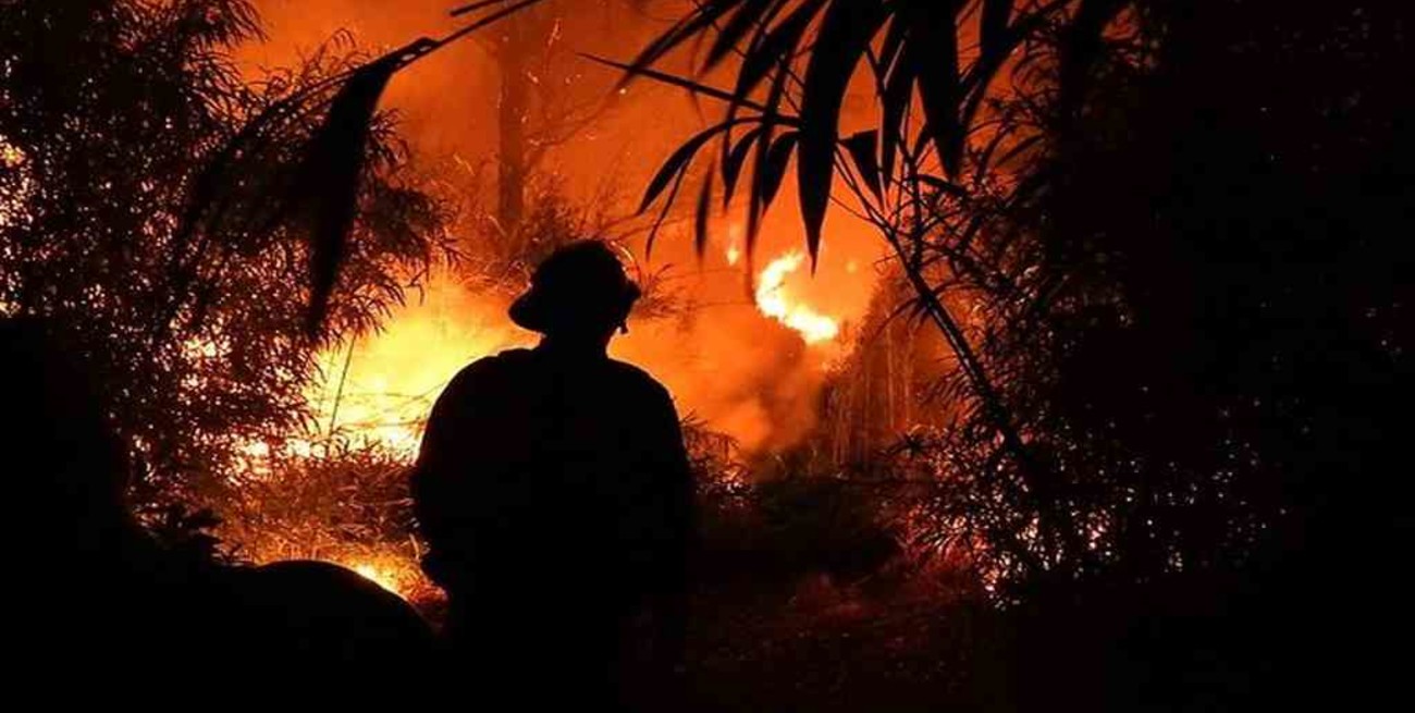 Misiones: se registró un incendio en la reserva del Zaimán y la provincia sigue en alerta por altas temperaturas