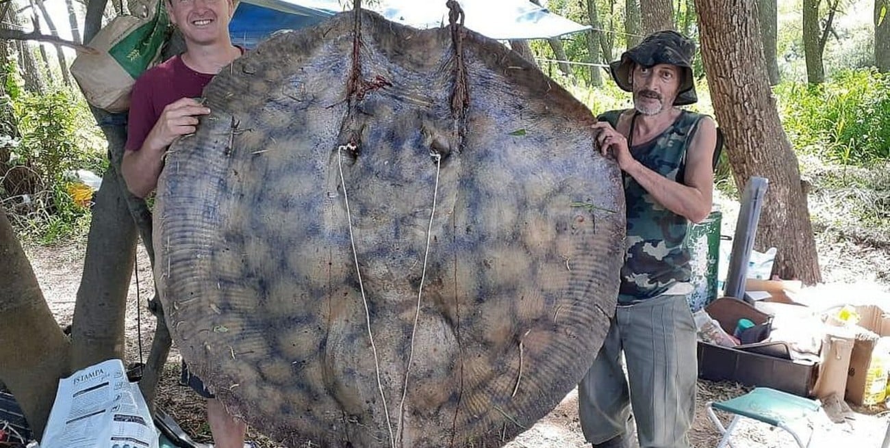 Santafesinos pescaron una raya de 153 kilos