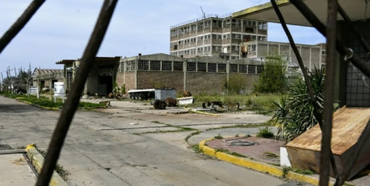 Investigan nuevas irregularidades encontradas en la Petroquímica Bermúdez