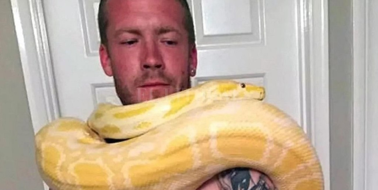Un hombre murió asfixiado por una pitón que tenía de mascota