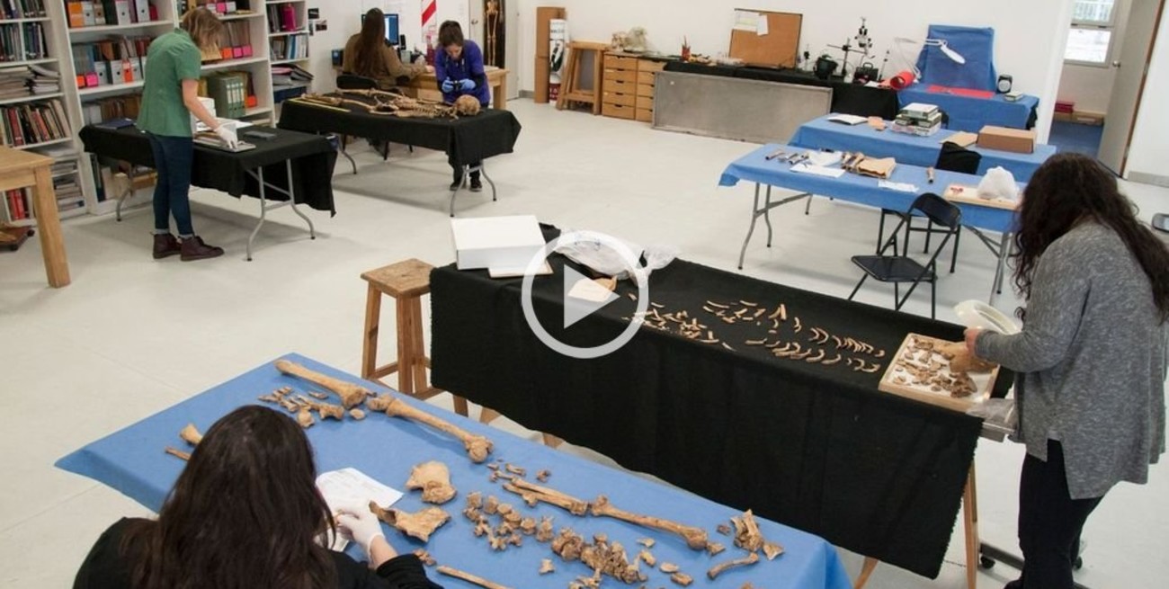 Campaña para identificar 600 cuerpos de desaparecidos