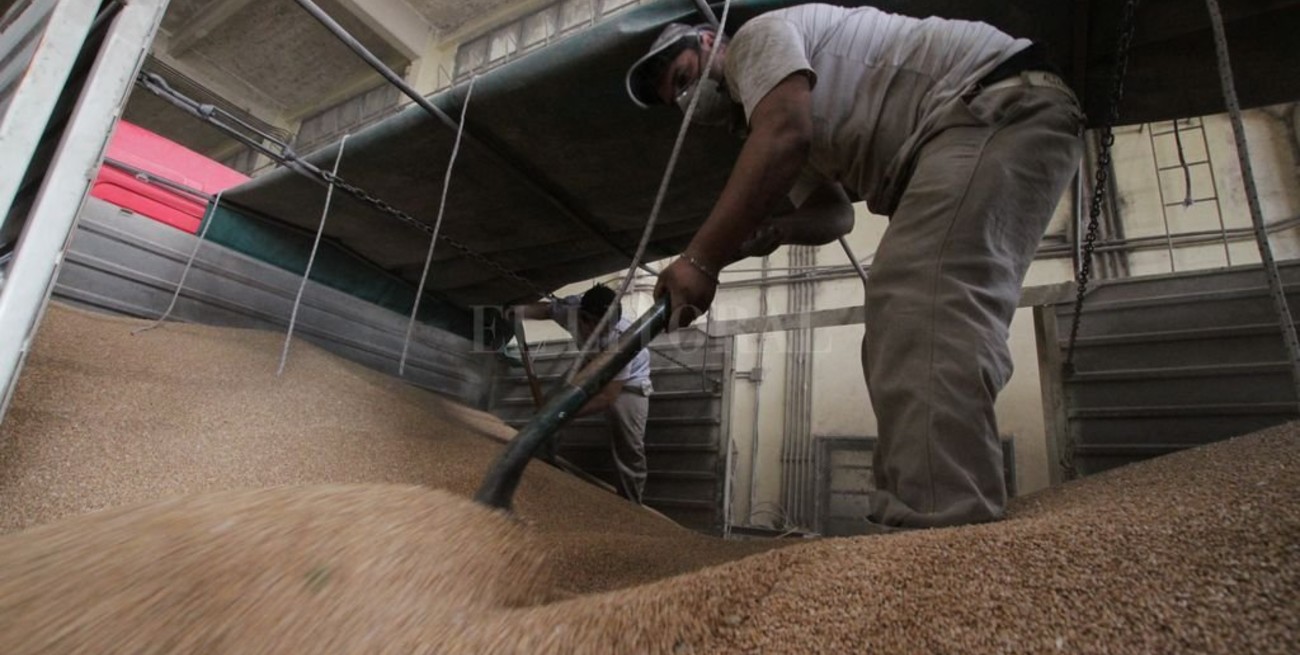 El trigo le sacudió el polvo al puerto de Santa Fe 