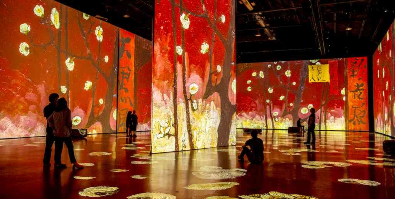 "Imagine Van Gogh" alcanzó las 200.000 entradas vendidas en Argentina y se extiende hasta junio