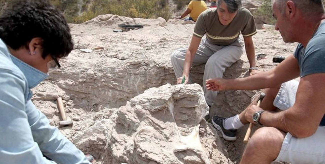 Hallan restos fósiles de un Titanosaurio de 85 millones de años en Neuquén
