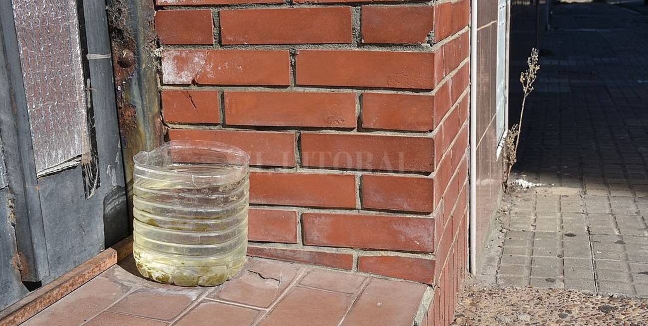 Tras una temporada récord, se anticipan acciones para prevenir el dengue