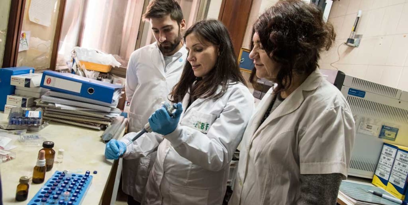 Advierten una gran circulación de aceites de cannabis diluidos