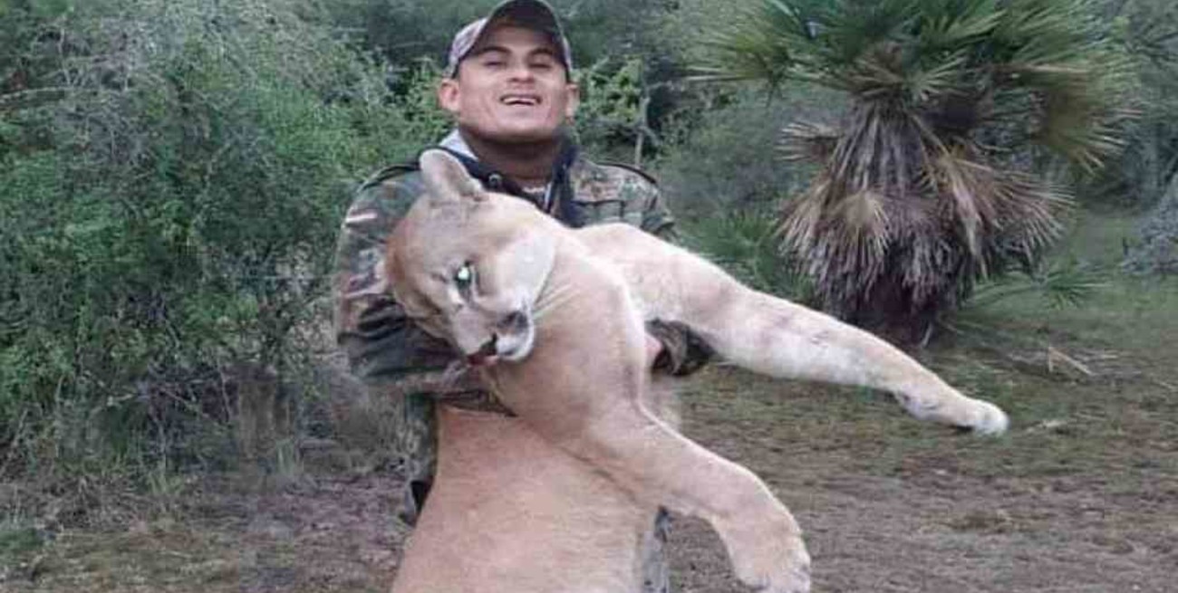 Indignación en Corrientes: mató un puma, y difundió las imágenes por redes sociales