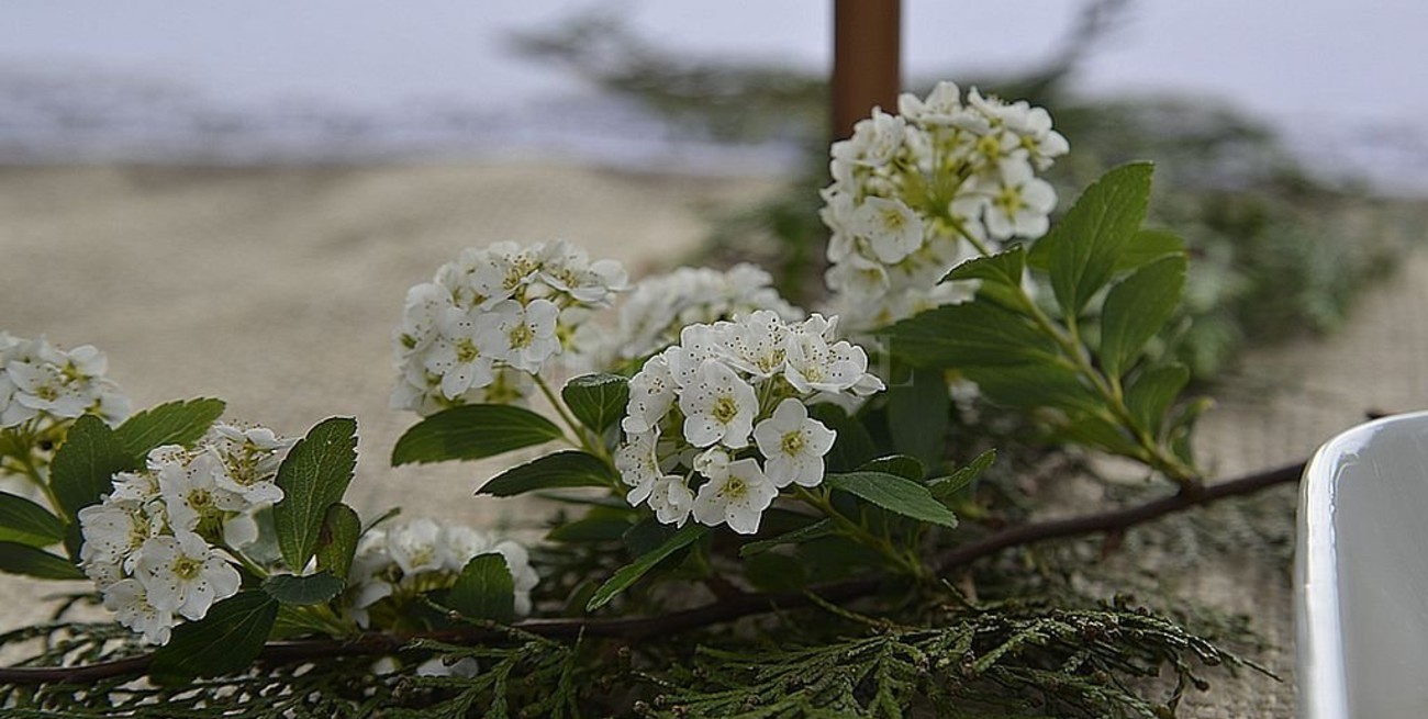 Posadas contará con un cementerio para bebés nacidos sin vida
