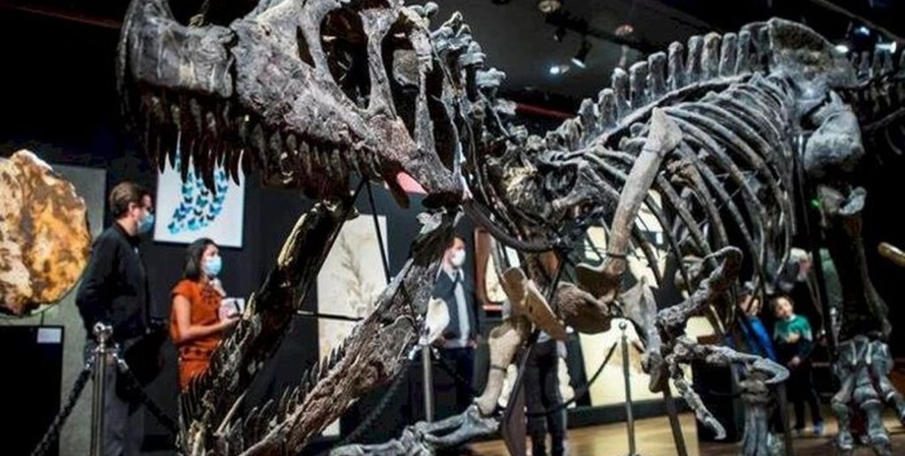 Cinco datos asombrosos que aprendimos sobre los dinosaurios durante 2021