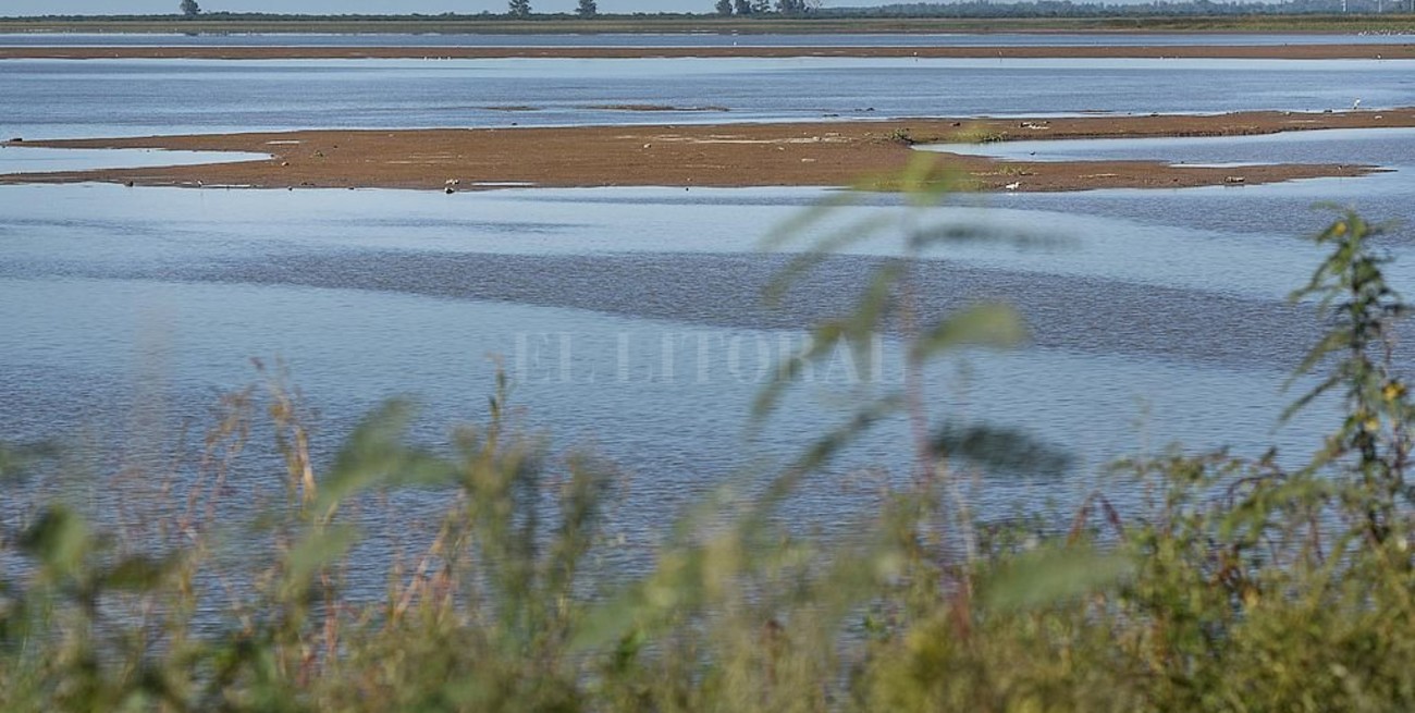 Así luce la costa de Santa Fe en su bajante más pronunciada en 40 años