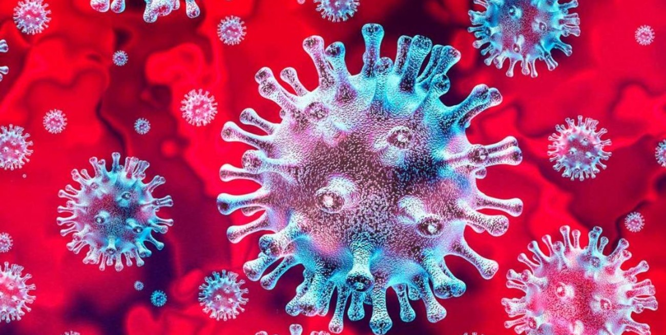 El coronavirus permanece hasta dos o tres días en plástico y acero inoxidable