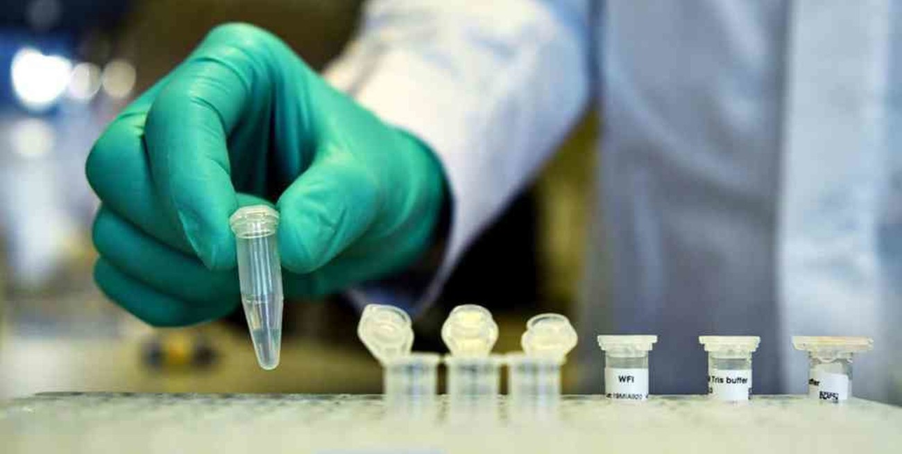 Cómo funciona el test de diagnóstico rápido desarrollado por científicos argentinos