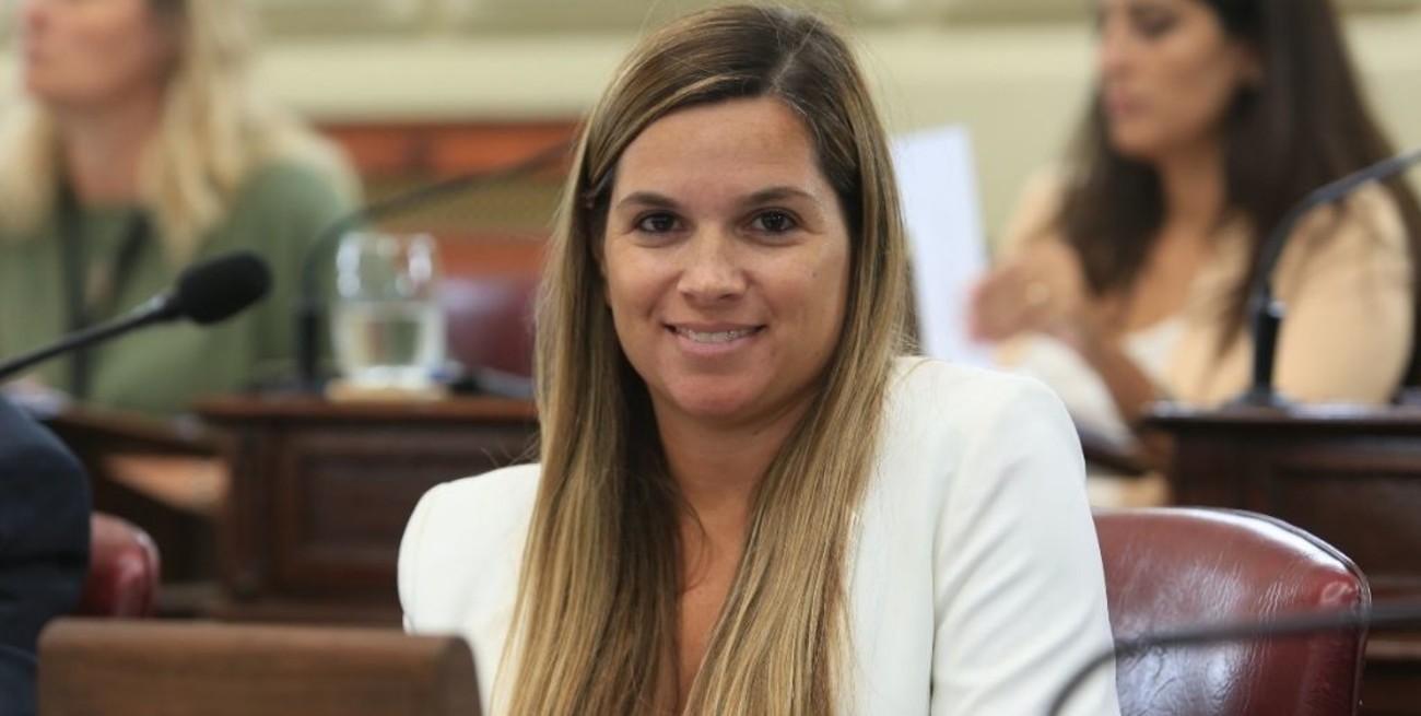 Piden que por ley, todas las pymes industriales puedan tener estabilidad fiscal 