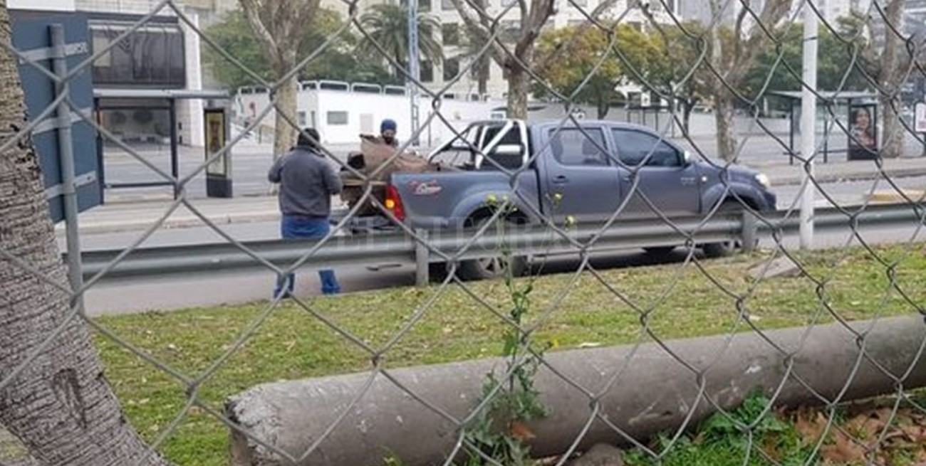 CABA: con una amoladora, se robaron una estatua en Avenida del Libertador