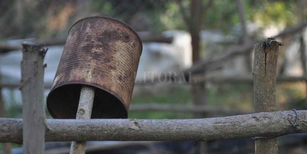 El dengue propone una tregua pero conviene no relajarse