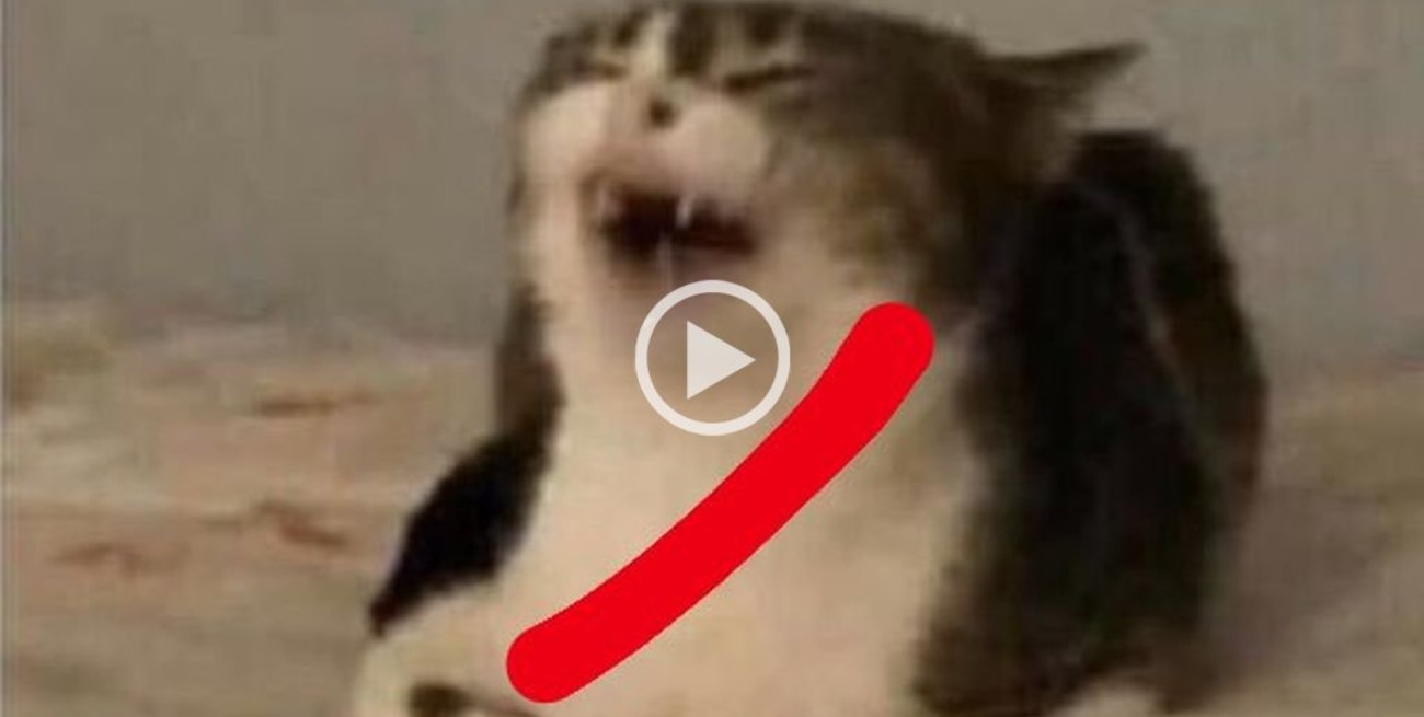 Viral: Mariano Closs volvió a relatar el "famoso tercero" de River y las redes se colmaron de memes