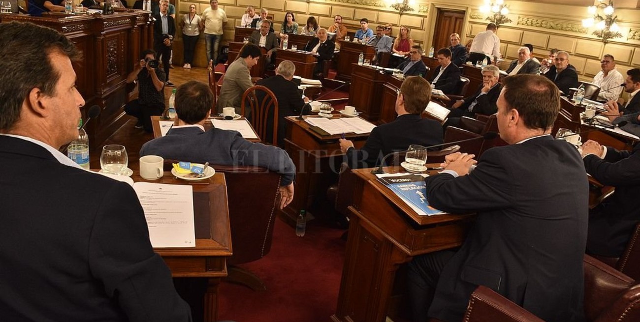 Ley de Necesidad Pública: el Senado insiste y todo vuelve a Diputados