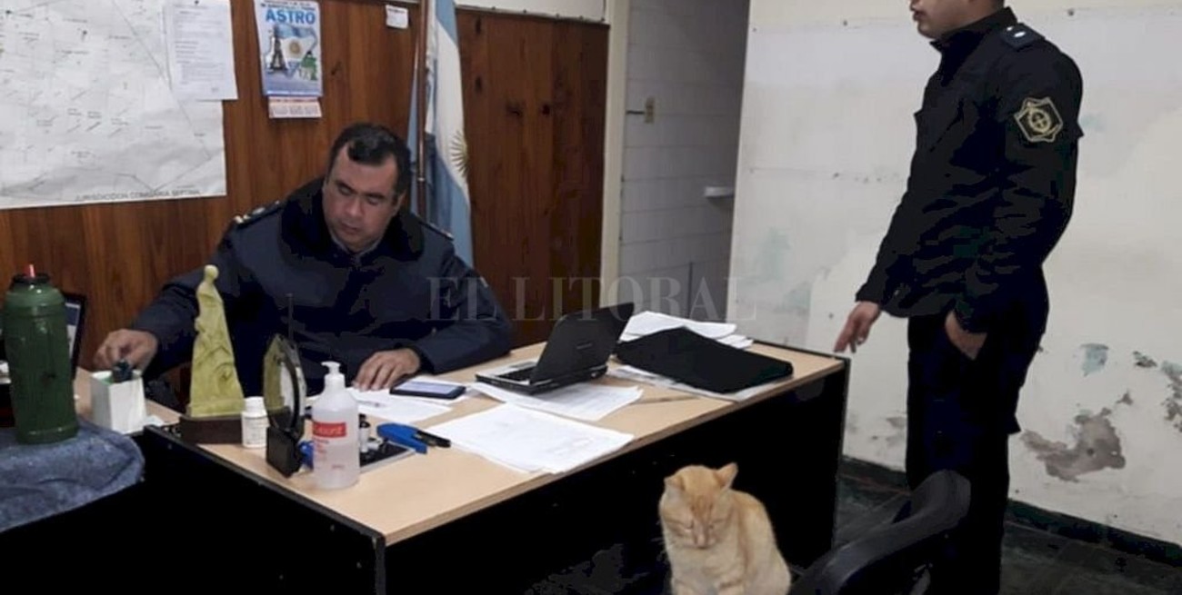 El gato sargento "Azrael" releva a "Cartucho" el la Seccional 7° de Corrientes
