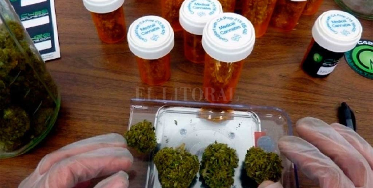 Ordenan a una obra social que cubra el costo de aceite de cannabis para una niña 