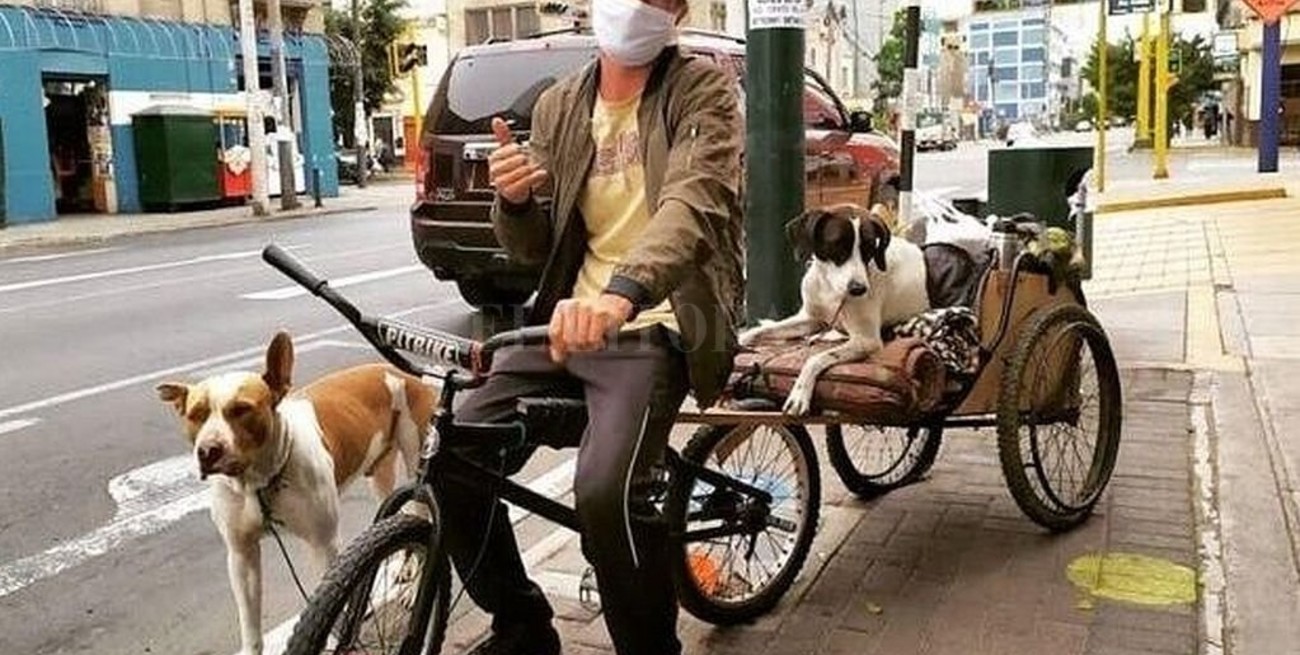 Un argentino varado en Perú se niega a ser repatriado sin sus perros