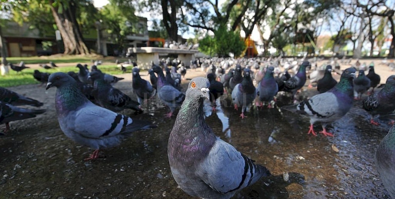 Las 50 mejores fotos de la cuarentena obligatoria