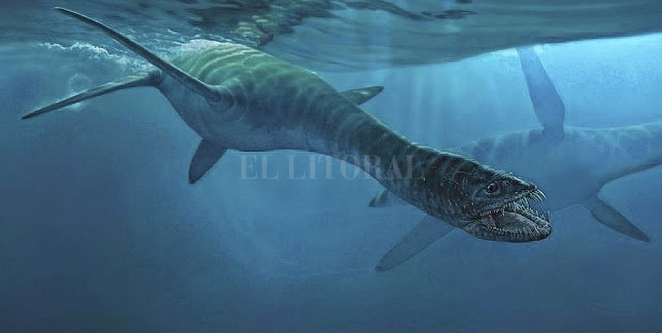 Encontraron en la Antártida restos de un reptil similar al "monstruo del Lago Ness"