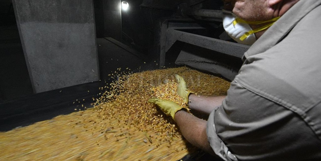 Recibidores de granos anuncian paro en puertos exportadores