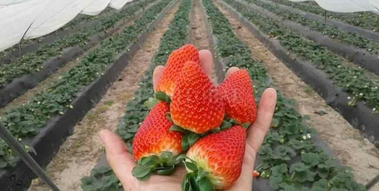 Tras operativo de AFIP en Desvío Arijón, Gómez reclamó: "cuidemos a quienes generan mano de obra en nuestro pueblo"