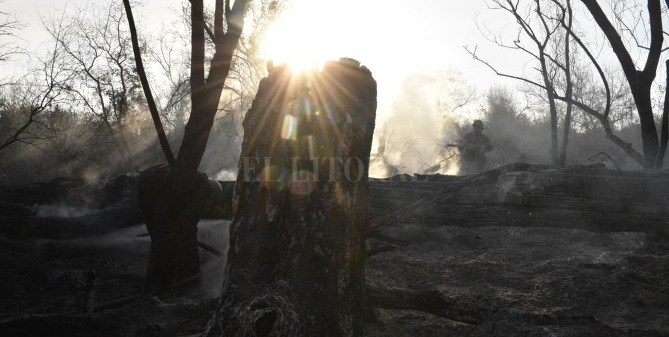 Ambientalistas denuncian la pérdida "casi total" de la fauna de las islas por las quemas