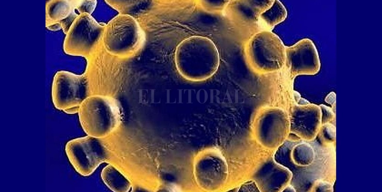 Confirman el primer caso de coronavirus en Chile