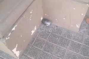 El Litoral Empleados del Registro Civil se topó con este objeto y dio aviso a la policía