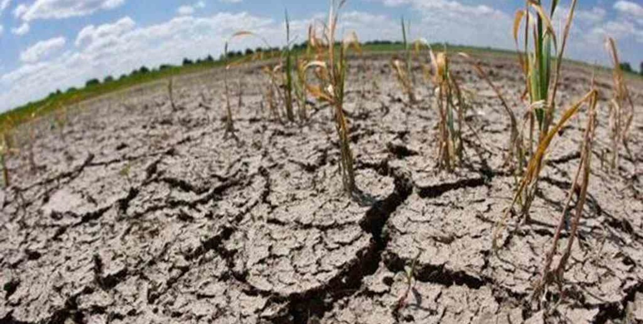 Declararán la emergencia agropecuaria para Corrientes y Chaco, y ampliarán la de Córdoba