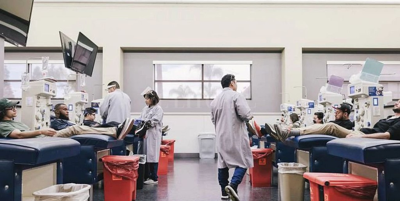 Probarán plasma de pacientes recuperados como posible cura del coronavirus