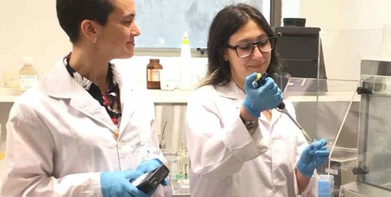 Otorgarán un subsidio extaordinario durante tres meses a becarios del Conicet