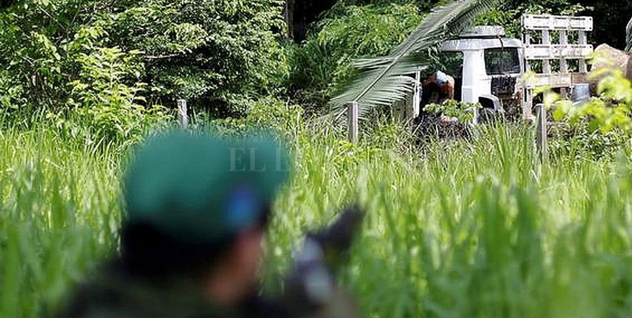 Jair Bolsonaro enviará al Ejército a combatir la deforestación en el Amazonas