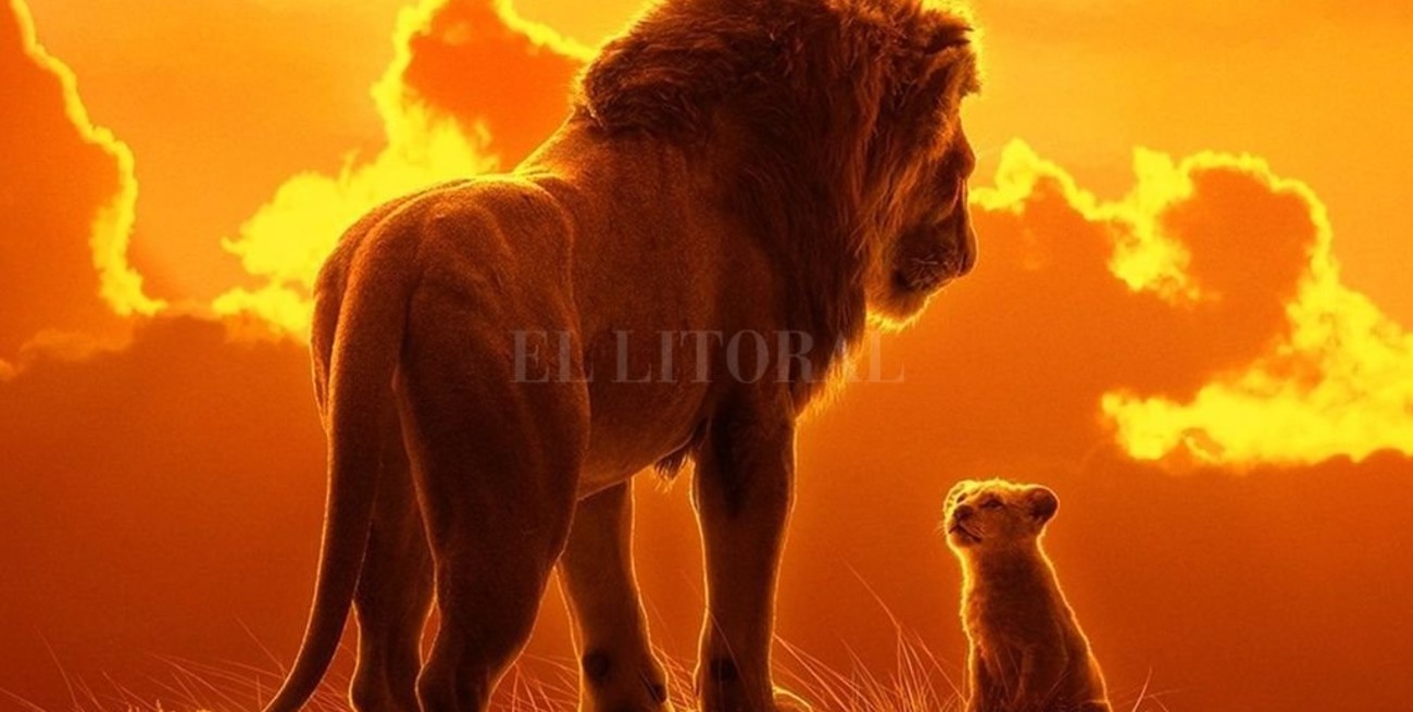 Naturaleza y sociedad