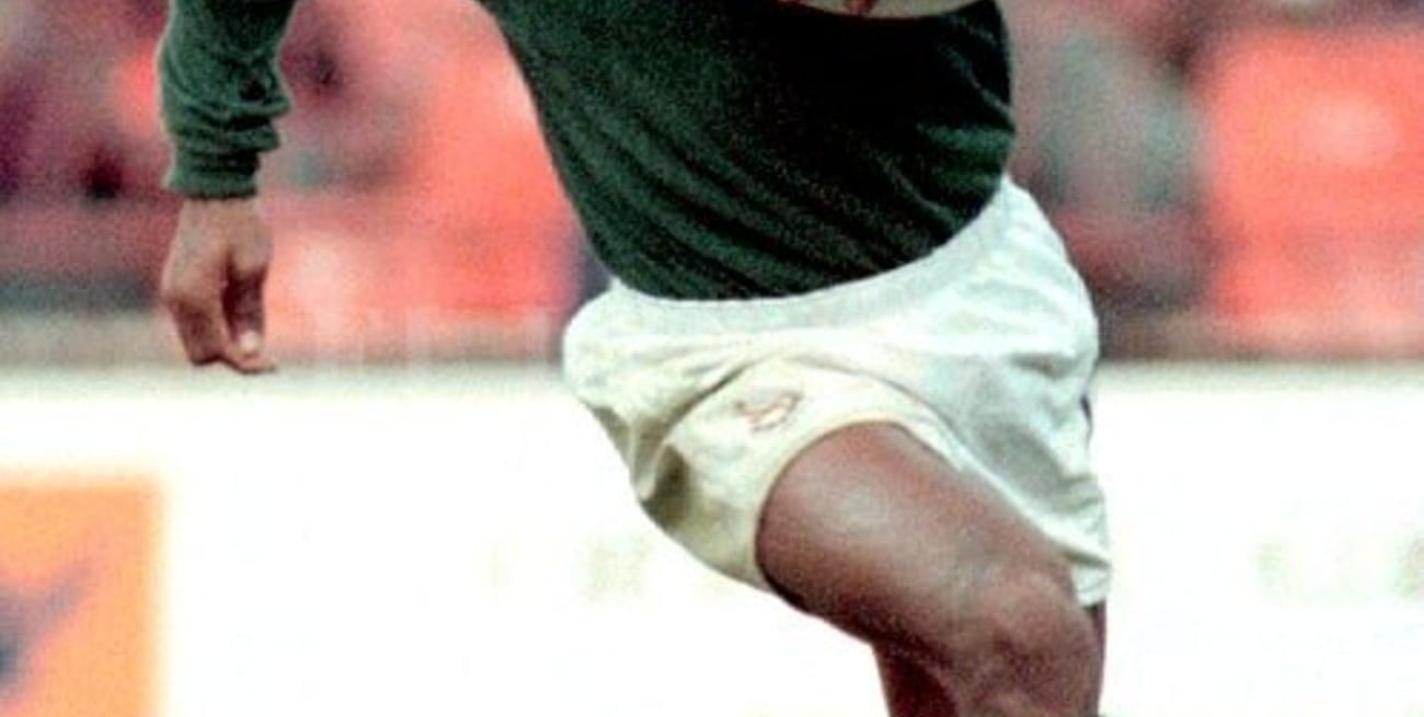 Murió Chester Williams, el único jugador de color de los Springboks campeones de 1995