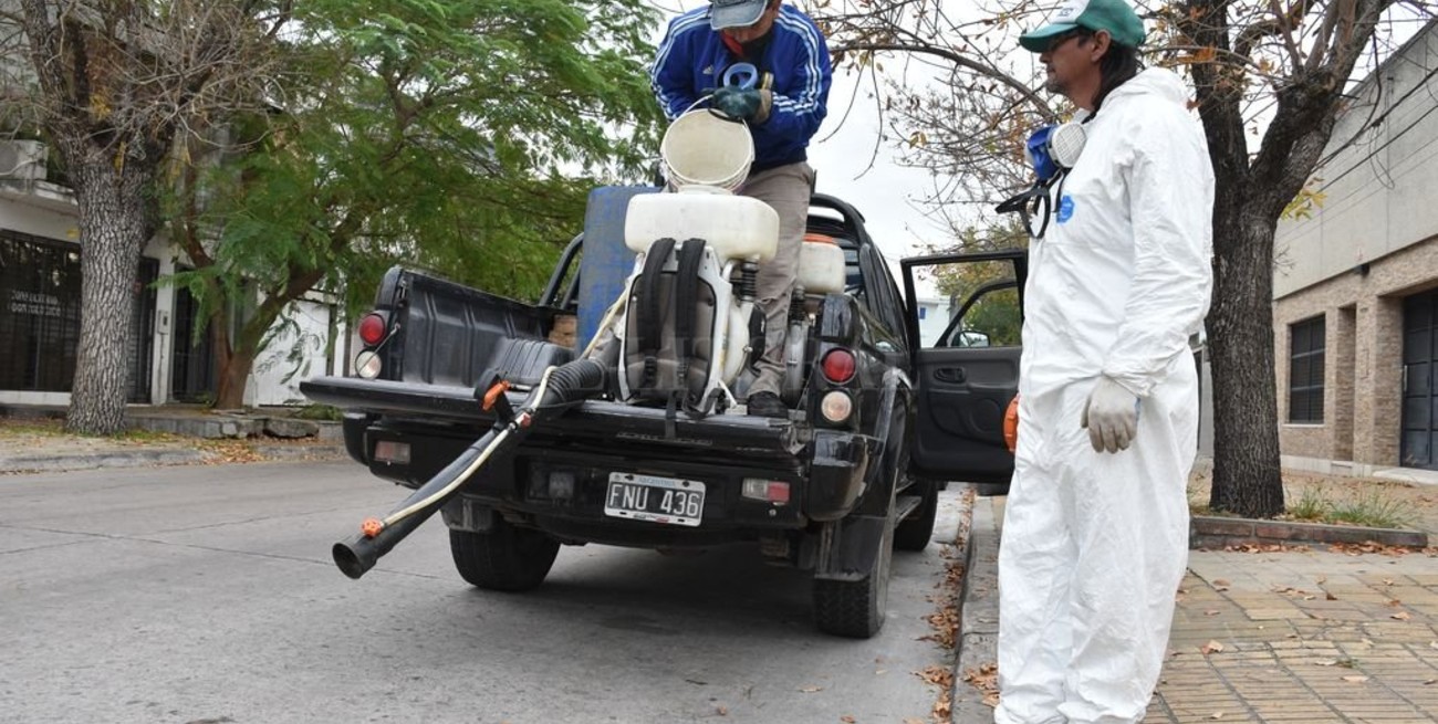 Por qué hay que prevenir el dengue durante todo el año