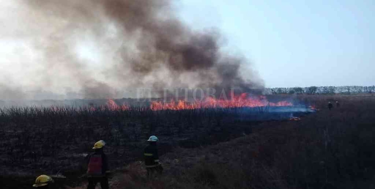 La justicia federal investiga los incendios en el norte santafesino
