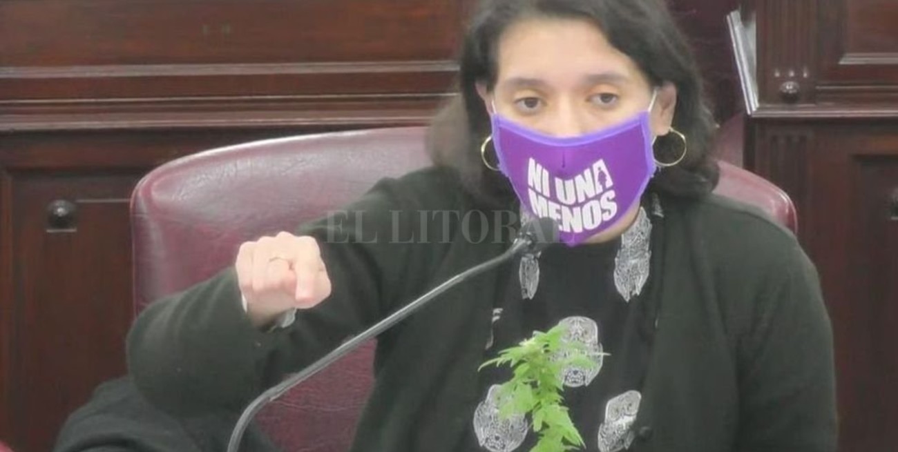 La planta de la polémica