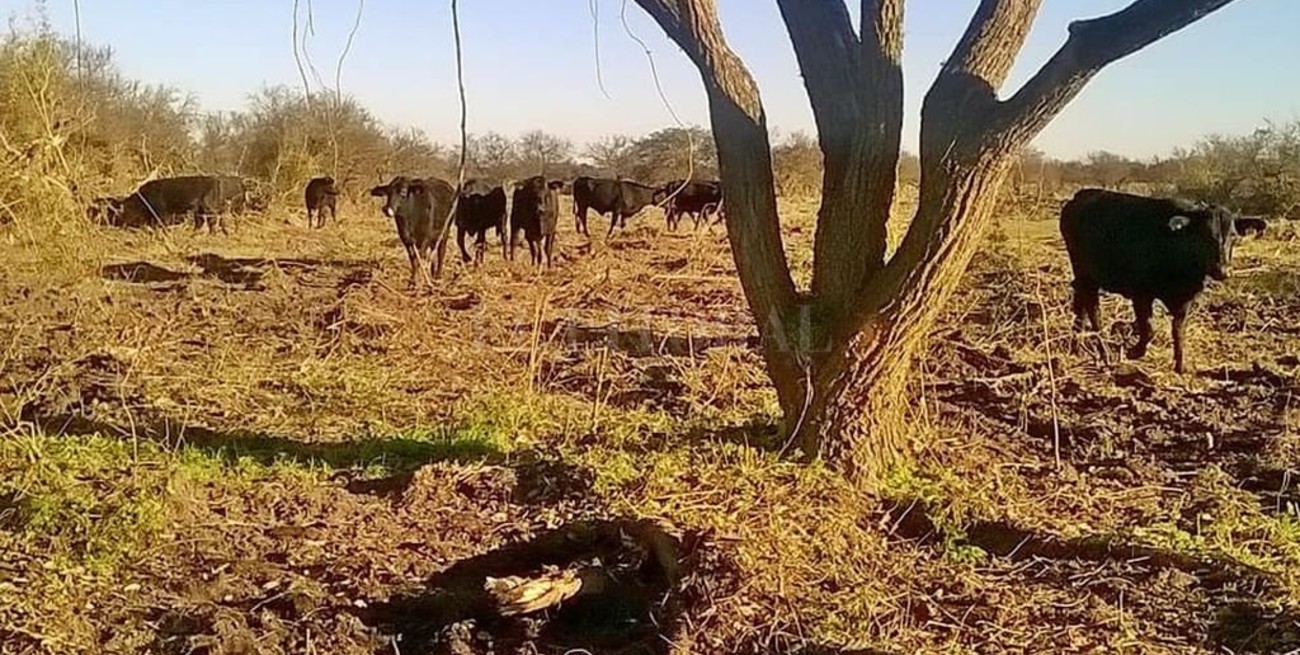 El movimiento de suelos crece en Santa Fe 