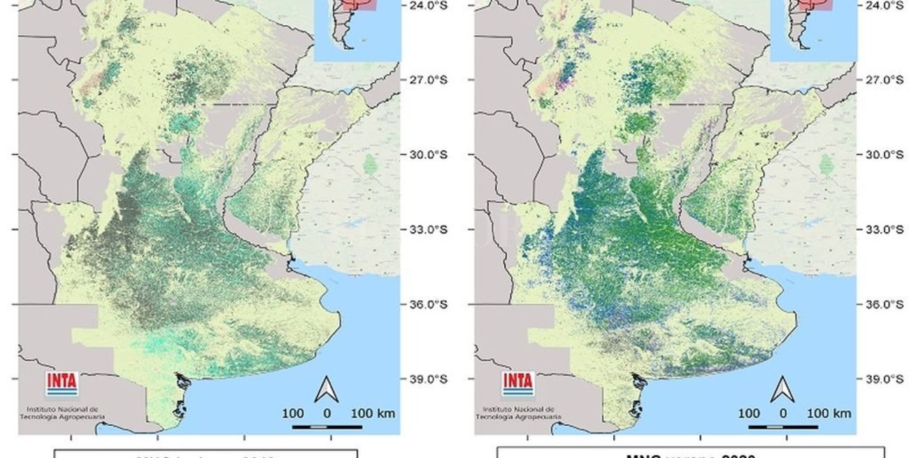 Presentan una nueva versión del mapa nacional de cultivos extensivos