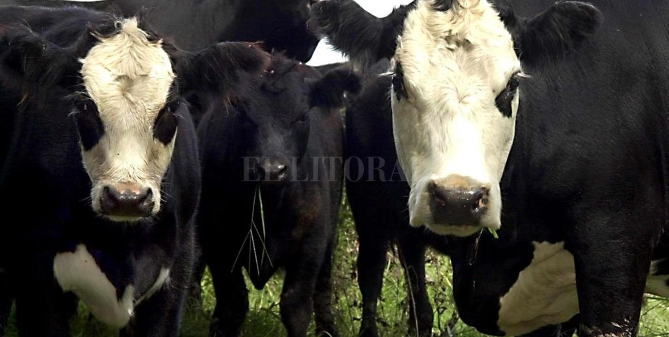 Nación comenzó la ronda de reuniones por el plan ganadero