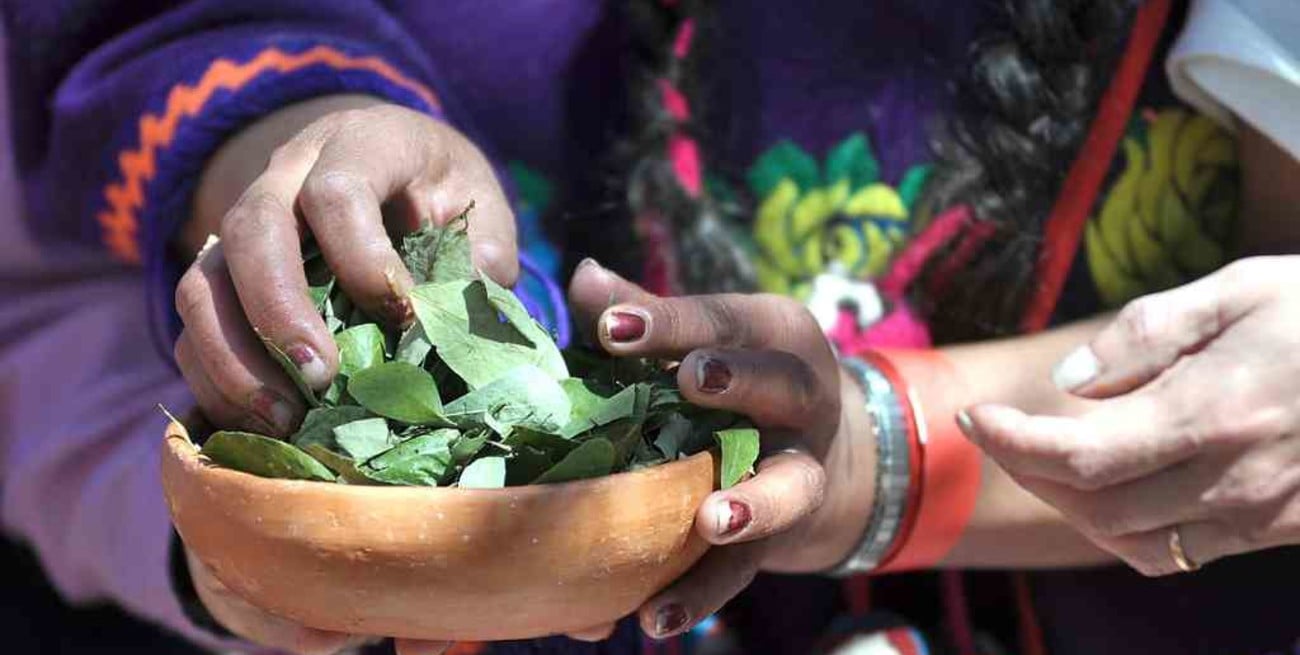 Día de la Pachamama: cómo homenajear a la Madre Tierra desde casa